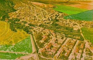 RELIZANE 40